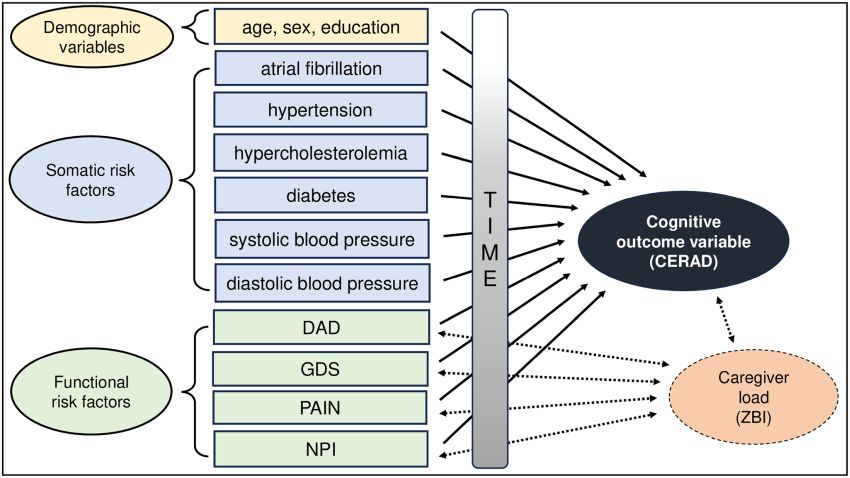 risk factors and cognitive outcome