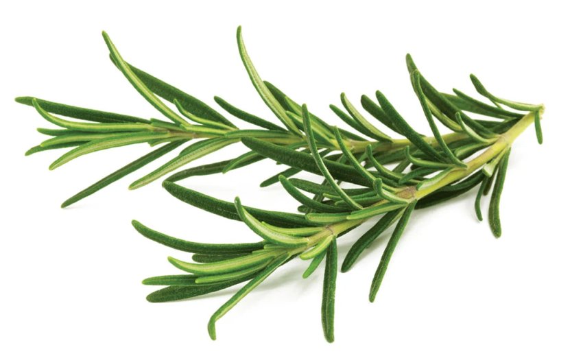 rosemary