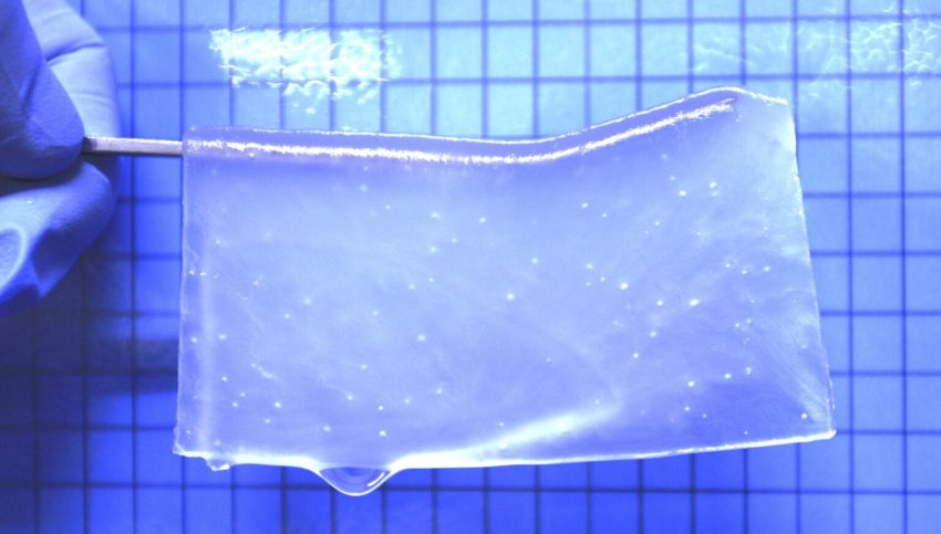 semitransparent hydrogel