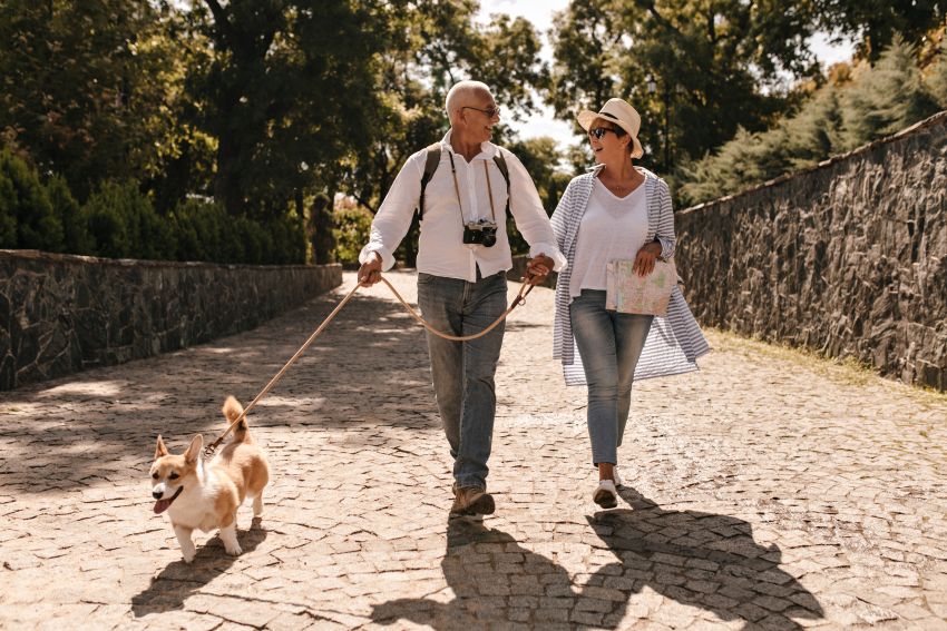 senior couple walking the dog 