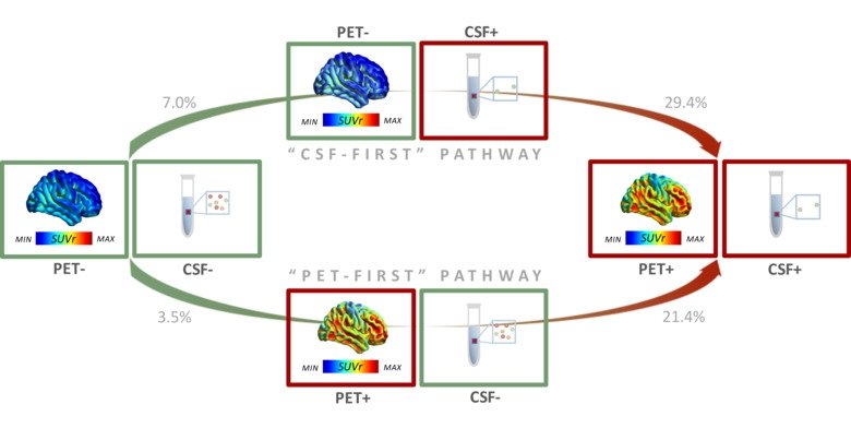 two pathways in alzheimer diagnosis