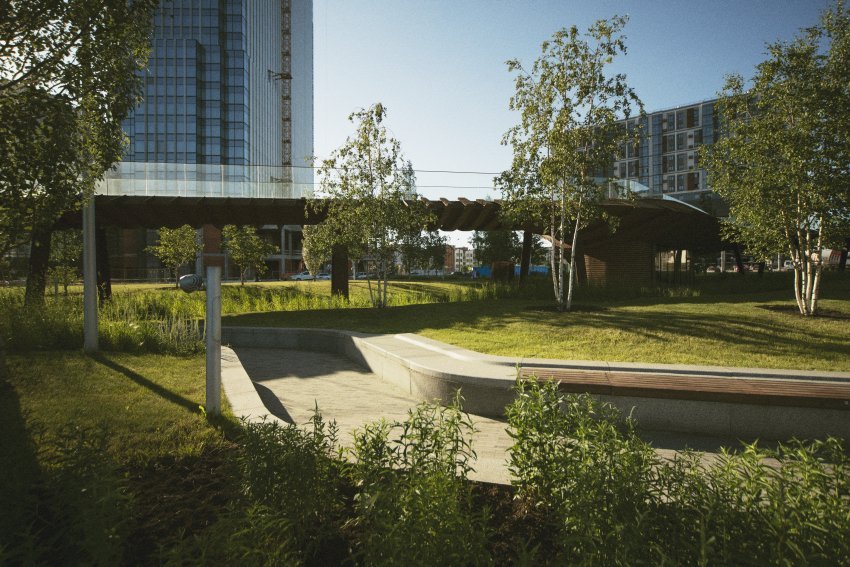 urban landscape with trees