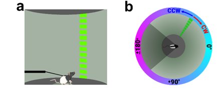 vevs neuroscience