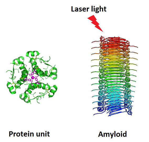 La luce laser potrebbe curare Alzheimer e Parkinson