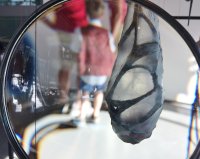 Guardare attraverso la lente di ingrandimento l'opera di Dianne Reilly.